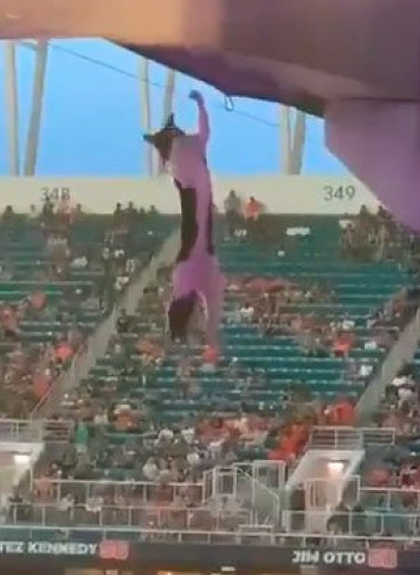Футбольные фанаты спасают кота с помощью флага: видео