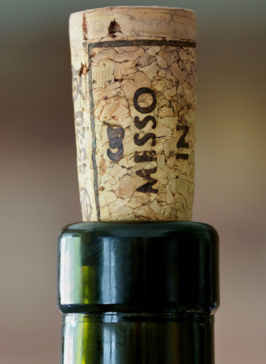 Натуральные, синтетические, винтовые: какие бывают винные пробки и какой материал лучше