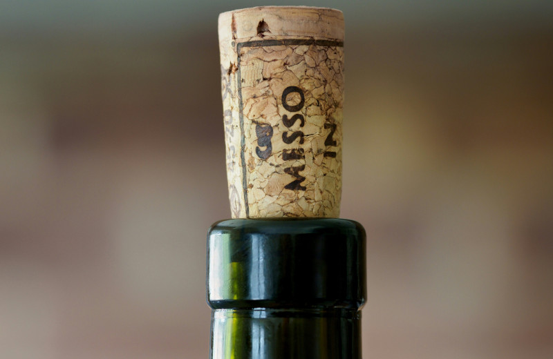 Натуральные, синтетические, винтовые: какие бывают винные пробки и какой материал лучше