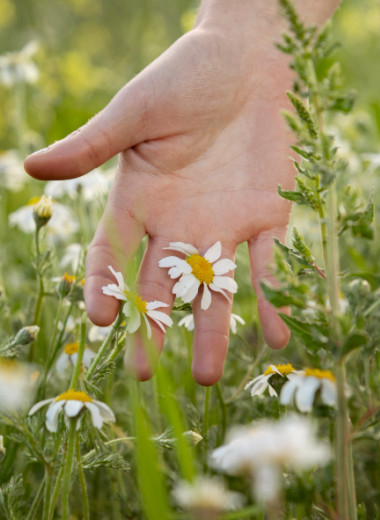 Почему совет «потрогать траву» работает лучше, чем кажется