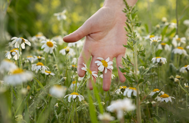 Почему совет «потрогать траву» работает лучше, чем кажется