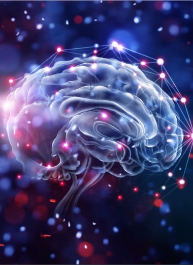 LiveScience (США): что мы узнали о мозге в 2019 году