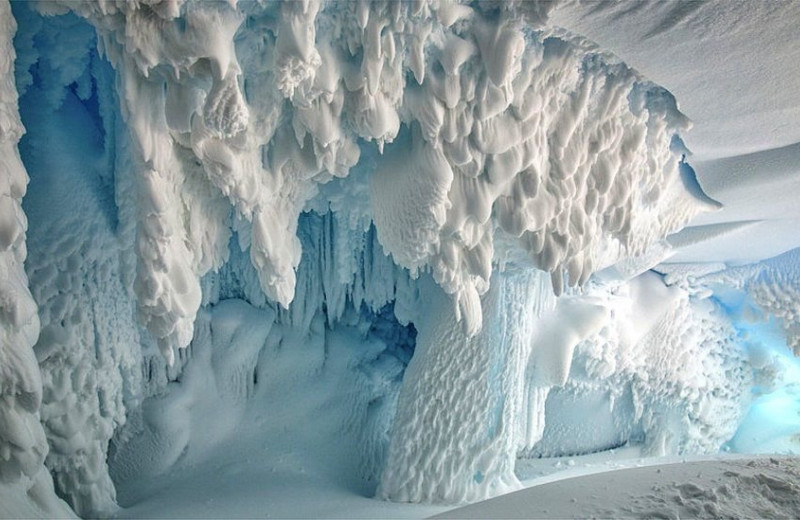 В Антарктиде есть странные теплые пещеры. Что можно там найти?
