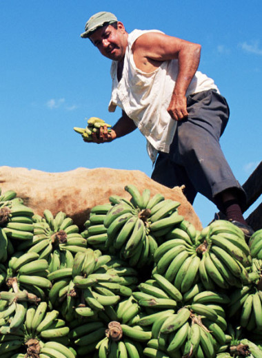 Как бразильский триатлонист подсадил американцев на снэки из некондиционных бананов