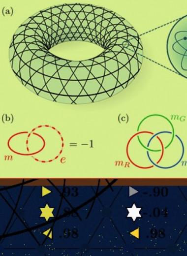 Две группы физиков смоделировали неабелевы энионы на квантовых компьютерах