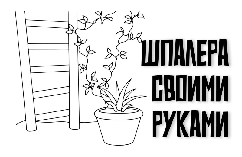 Как сделать шпалеру своими руками: инструкция для дачников