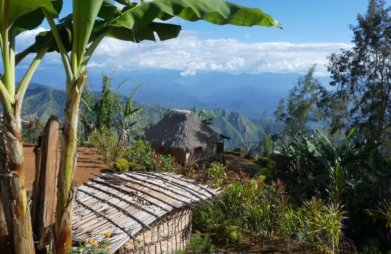 Жители Новой Гвинеи вступили в неолит за тысячу лет до прихода мигрантов из Азии