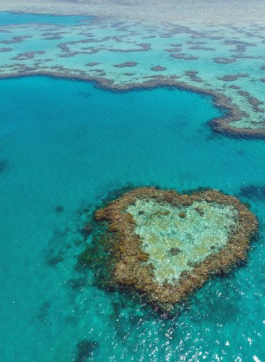 Ученые: Большой Барьерный риф не раз возрождался после массовой гибели кораллов