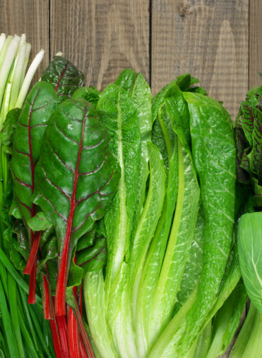5 овощей с самым высоким содержанием питательных веществ (научно доказано)