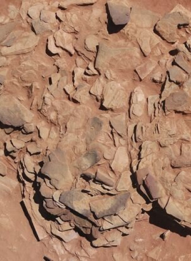 Тайна мустатилов: в арабской пустыне нашли святилище со следами загадочного жертвоприношения