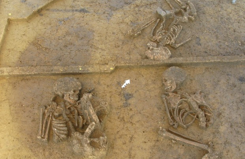 Древних жителей Германии похоронили 6000 лет назад без учета социального статуса