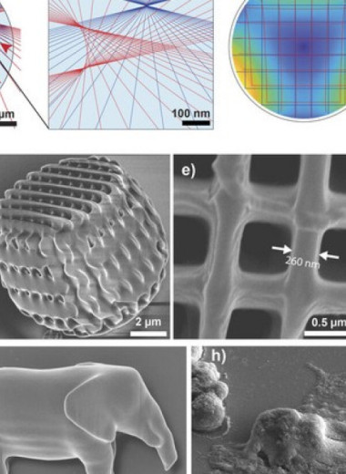 Материаловеды напечатали внутри живой клетки слона размером с бактерию