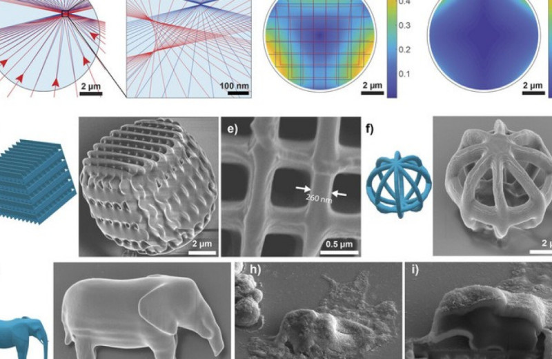 Материаловеды напечатали внутри живой клетки слона размером с бактерию