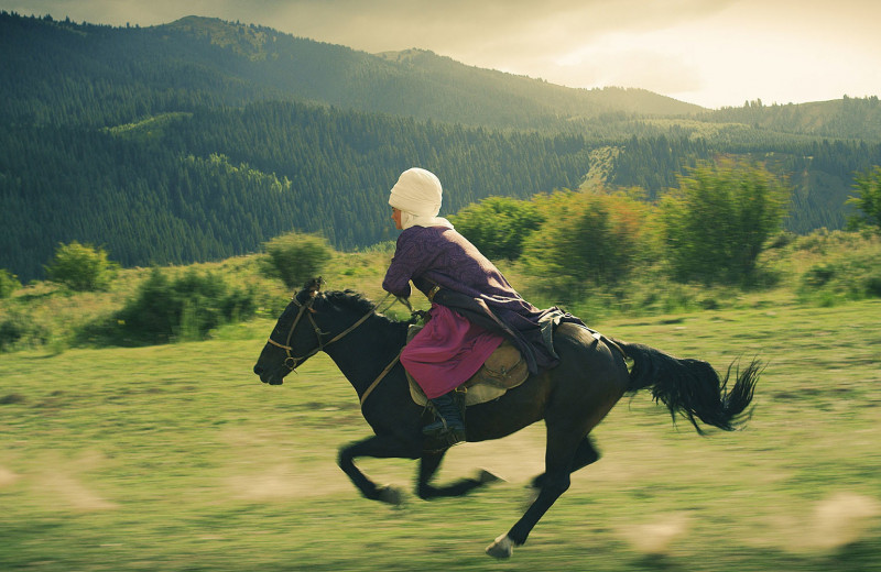 Кино — дело тонкое: быстрый гид по фильмам Средней Азии и Казахстана