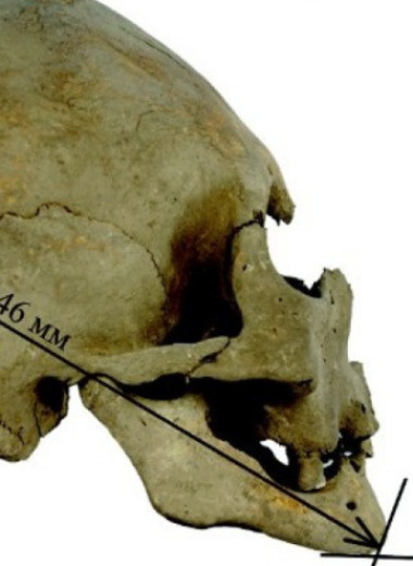 Генетики секвенировали ДНК древней женщины из Приморья