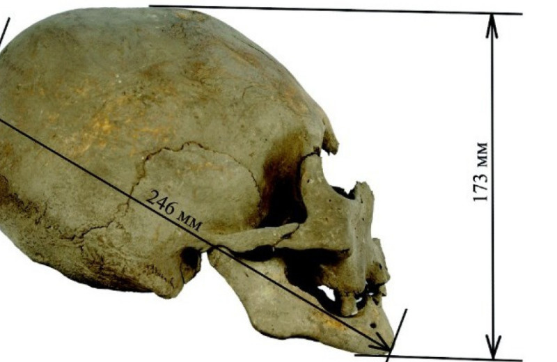 Генетики секвенировали ДНК древней женщины из Приморья