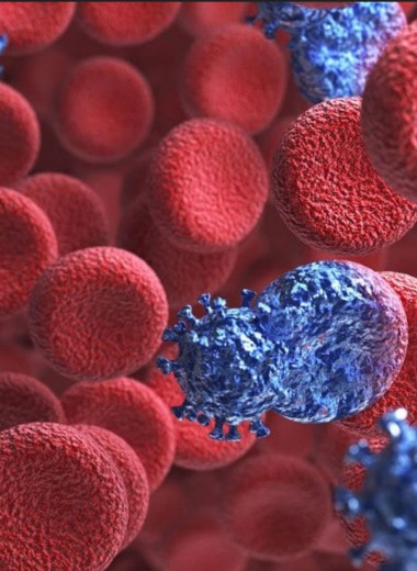Ученые сообщили о втором случае исцеления от ВИЧ