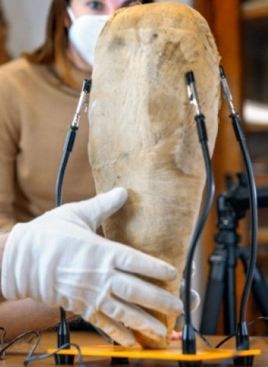 Внутри египетской мумии ястреба оказались останки священного ибиса