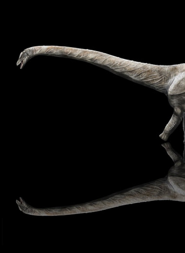 Кому принадлежит звание самого длинного динозавра в истории?