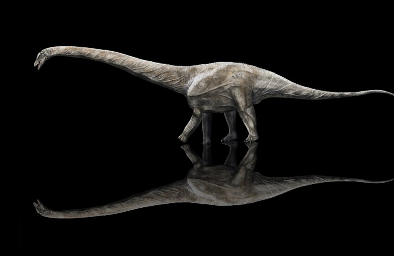 Кому принадлежит звание самого длинного динозавра в истории?
