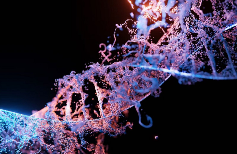Ученые МГУ создали вирусный фермент, контролирующий активность генов