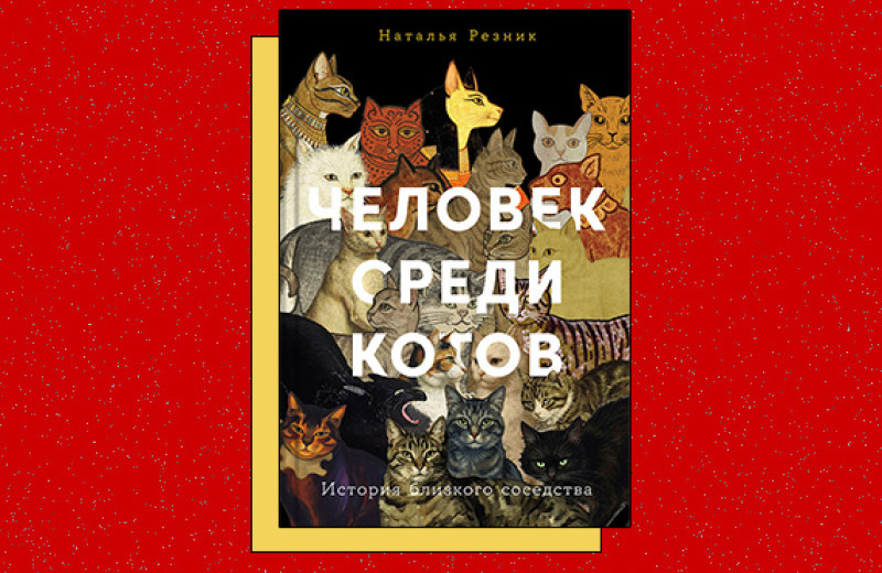 «Человек среди котов: История близкого соседства»
