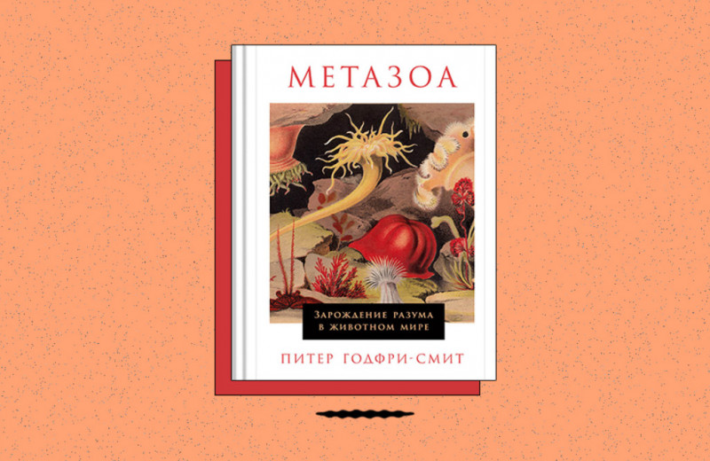 «Метазоа: Зарождение разума в животном мире»