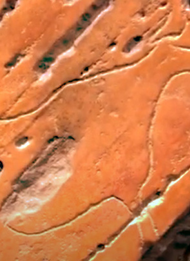 В долине реки Коа нашли крупнейшие палеолитические петроглифы с быками