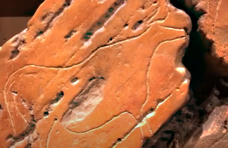 В долине реки Коа нашли крупнейшие палеолитические петроглифы с быками