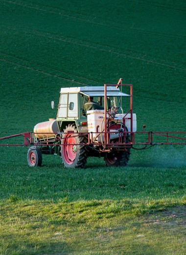 Как определить уровень пестицидов и чем они опасны