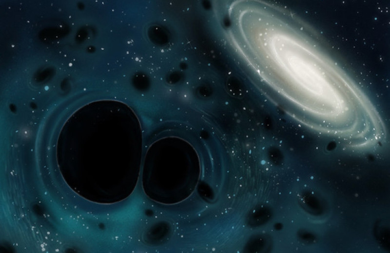 Темная материя из первичных черных дыр с широким спектром масс примирила наблюдения с теорией