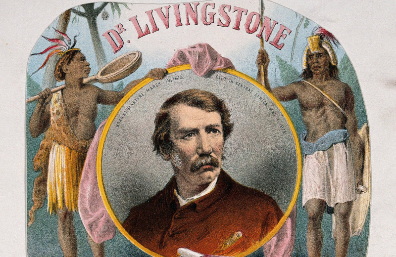 Великие открытия: Давид Ливингстон и его путешествие по Южной Африке