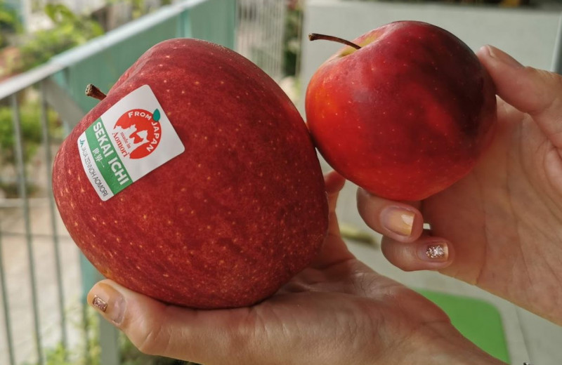 Какие из российских яблок самые вкусные, надо ли чистить яблоки и еще 10 вопросов о главной фруктовой скрепе