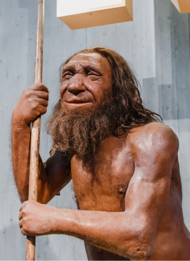Что отличает людей от неандертальцев и обезьян? Объясняет нобелевский лауреат