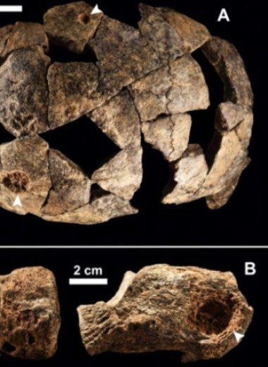 В Эфиопии обнаружили останки как минимум 13 архаических сапиенсов