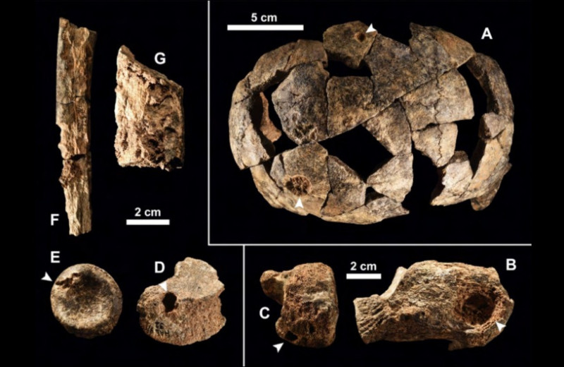 В Эфиопии обнаружили останки как минимум 13 архаических сапиенсов