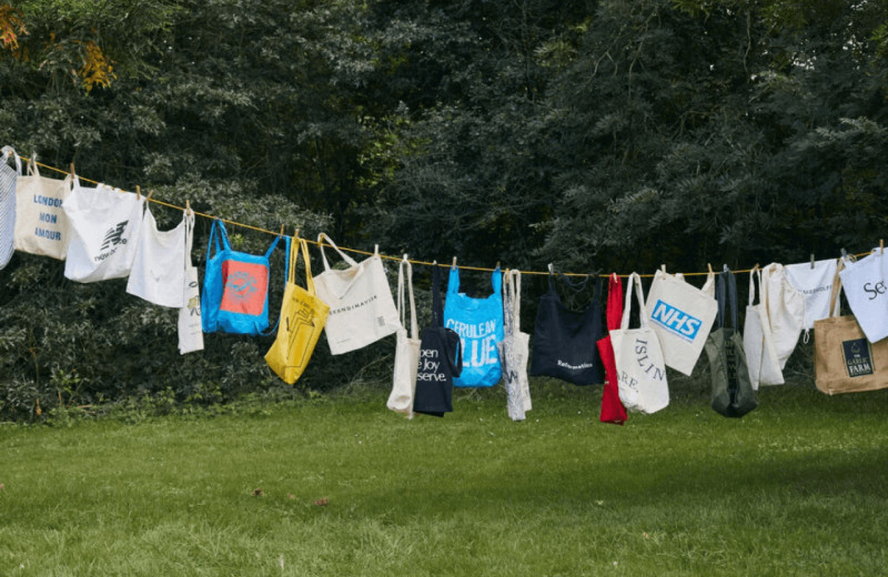 Обманчивая защита окружающей среды: почему хлопковые сумки-шопперы не лучшая альтернатива пластику