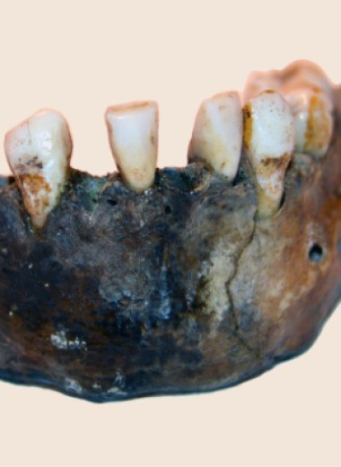 Палеогенетики секвенировали ДНК жившего 10 тысяч лет назад южного африканца