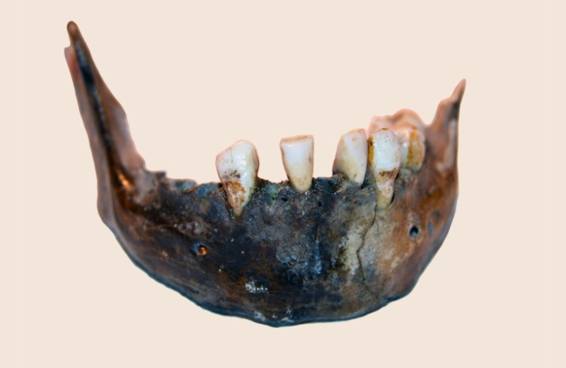 Палеогенетики секвенировали ДНК жившего 10 тысяч лет назад южного африканца