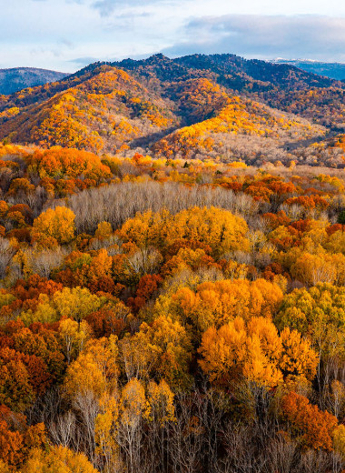 Зеленые деньги: что мешает бизнесу зарабатывать на климатических проектах