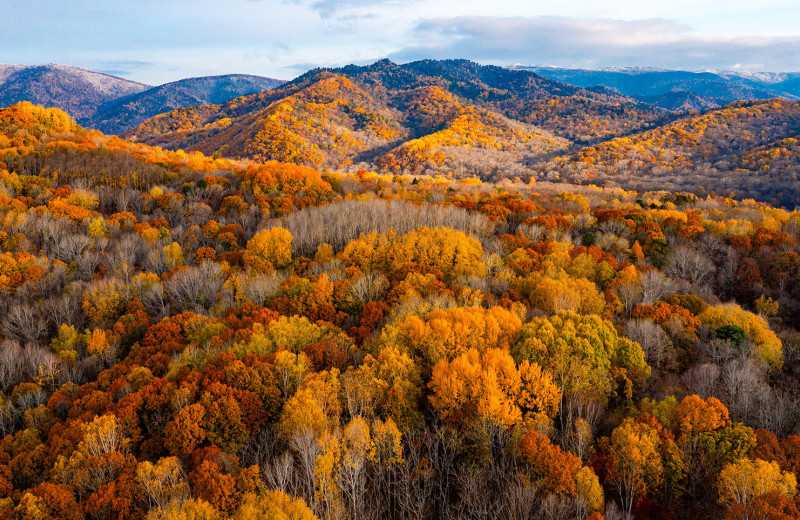 Зеленые деньги: что мешает бизнесу зарабатывать на климатических проектах