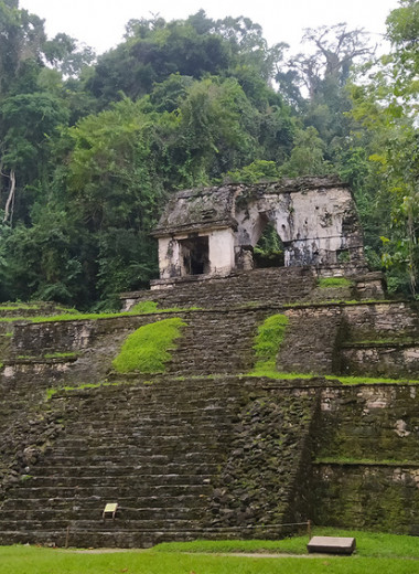 Одна вокруг света: древние города майя, ревуны и коневодческий рай