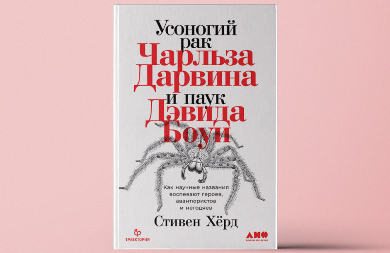 «Усоногий рак Чарльза Дарвина и паук Дэвида Боуи»