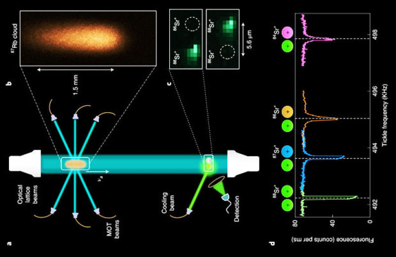 Квантовая логика помогла изучить неупругие соударения холодных атомов и ионов