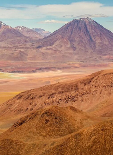 В самой засушливой пустыне мира Атакаме процветает тайная жизнь