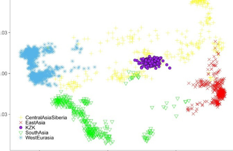 Происхождение казахов Синьцзяна смоделировали из четырех предковых компонент