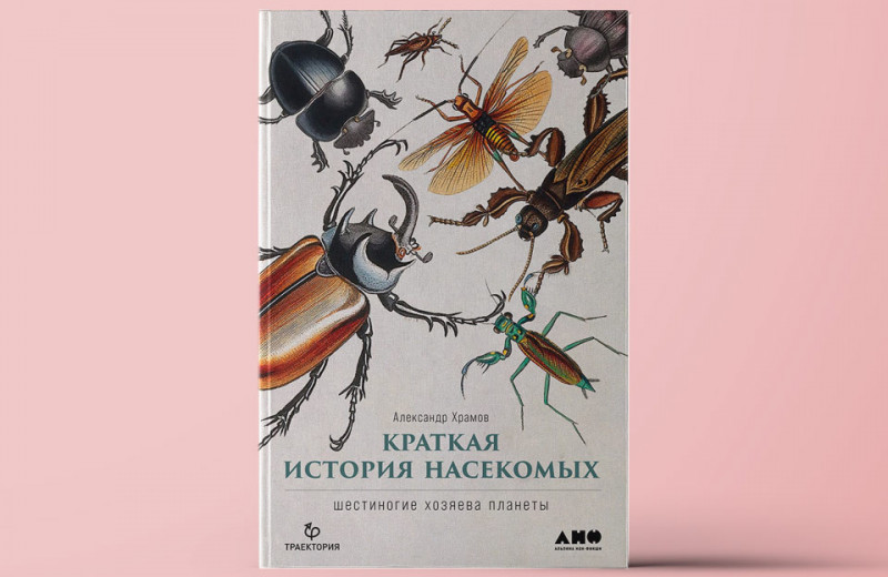 «Краткая история насекомых: Шестиногие хозяева планеты». Палеоэнтомолог рассказывает об их становлении и развитии