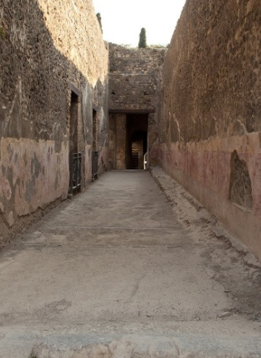 На помпейской стене обнаружили сражающихся гладиаторов