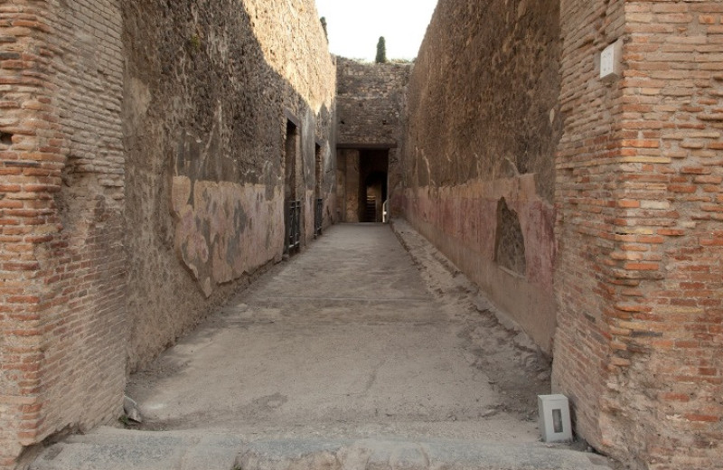 На помпейской стене обнаружили сражающихся гладиаторов