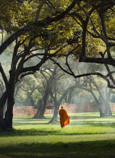 «Прошу, позаботься о маме». Чему учит опыт будийского монаха в общении с родителями